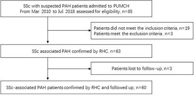 Right Ventricle to Pulmonary Artery Coupling Predicts the Risk Stratification in Patients With Systemic Sclerosis-Associated Pulmonary Arterial Hypertension